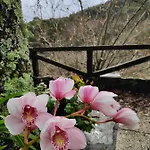 Casa Em Xisto Na Serra Da Lousa,