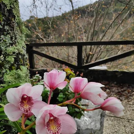 Refugio Romantico- Casa De Xisto Na Serra Da Lousa